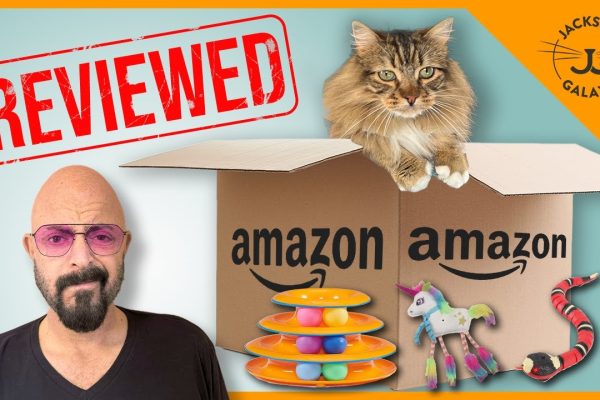 Trending toys of the year -> Cat Expert Reviews Bestselling Cat Toys on Amazon